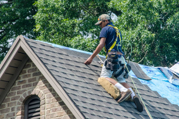 Best Storm Damage Roof Repair  in Ball Ground, GA